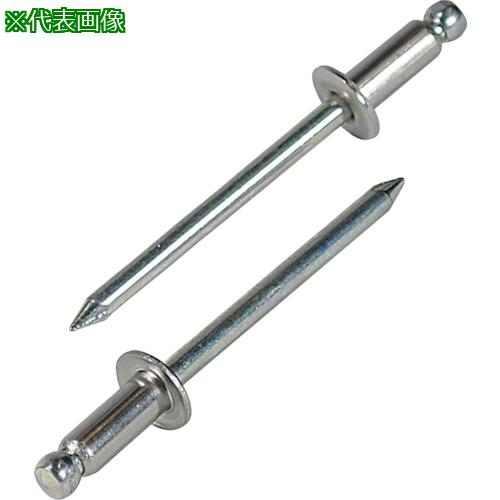 ■エビ ブラインドリベット(ステンレス/スティール製) 5-8(1000本入) 箱入〔品番:NSS58〕【1259547:0】[店頭受取不可]