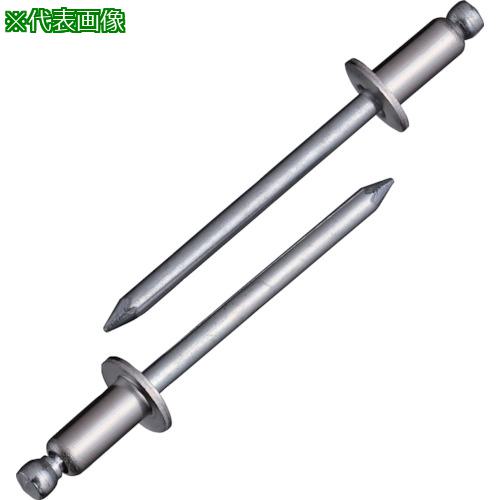 ■エビ ブラインドリベット(ステンレス/スティール製) 6-2(1000本入) 箱入〔品番:NSS62〕【1259571:0】[店頭受取不可]