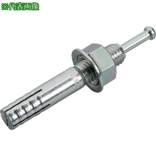 ■サンコー オールアンカーCタイプ スチール製 ねじの呼びM20 全長130mm《10本入》〔品番:C2013〕【1329022×10:0】[店頭受取不可]