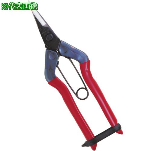 ■チカマサ 摘果鋏〔品番:T501〕【1357782:0】[送料別途見積り][店頭受取不可]