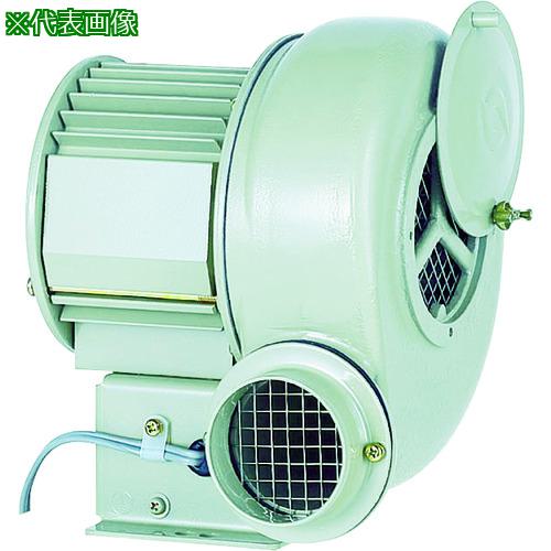  ư ѥ꡼(0.025kW):SF38͡1384171:0[ŹƬԲ]