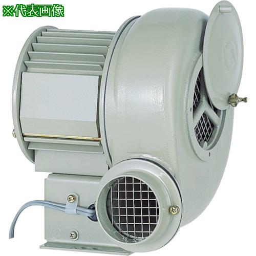 ■昭和 電動送風機 汎用シリーズ(0.25kW)〔品番:SF75〕【1384198:0】[店頭受取不可]
