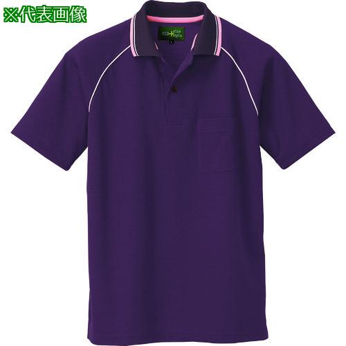 ȥ Ⱦµݥ(˽) 祳졼 3L:500050623L͡1438106:0[ӸѤ][ǳ][ŹƬԲ]