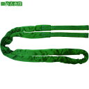 ■TESAC ブルースリングソフトE形(両端アイタイプ)荷重2t 全長2.5m(JIS規格品)〔品番:TBSE2.0TX2.5M〕【1480586:0】[送料別...