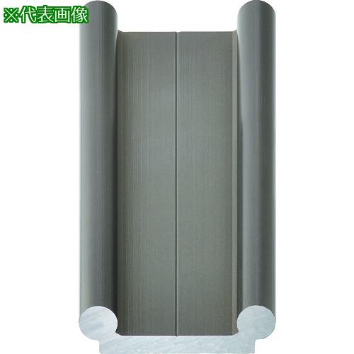 ■igus ドライリンWダブルレール25型〔品番:WS251202000〕【1604101:0】[法人・事業所限定][直送元][店..