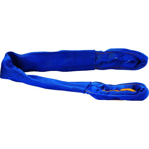 ■シライ ラウンドスリング シライマルチスリング[[R上]]LIGHT FED 両端アイ形 20t 長さ3.0m〔品番:FEDW200X3.0〕【1606597:0】[法人・事業所限定][直送元][店頭受取不可]