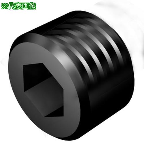 ■SANDVIK プラグ(810)〔品番:564304501〕【1667277:0】[送料別途見積り][掲外取寄][店頭受取不可]