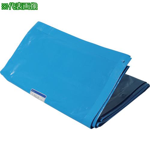 븶 ԡ CSR2ǯ 3.6MX5.4M:CSR23654͡1670183:0[ŹƬԲ]