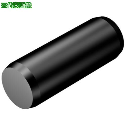 ■SANDVIK カムシャフト(810)〔品番:3111020769〕【1675015:0】[送料別途見積り][掲外取寄][店頭受取不可]