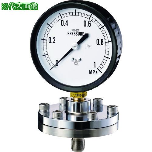 ■右下 隔膜式圧力計 BT-1型〔品番:KABT133160.25MPA〕【1680923:0】[送料別途見積り][掲外取寄][店頭受取不可](4)