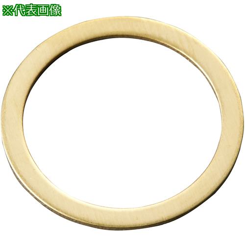 ■IWATA シムリングCUZN (1枚入)T1.0〔品番:BRB012015100〕【1785159:0】[送料別途見積り][掲外取寄][店頭受取不可]