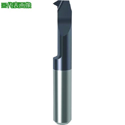 GUHRING 칩 󥵡 ¤ͤڤ 餤Ϥʤ ᡼ȥܤͤ nanoA GG106.TM08.125.37.68.L:...