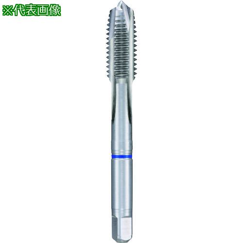 ■GUHRING ステンレス用メートル並目ねじ用タップオーバーサイズ レギュラ M5×0.8〔品番:44245.000〕【1804565:0】[送料別途見積り][掲外取寄][店頭受取不可]