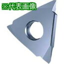 ■GUHRING 溝入れ工具 インサート 外径ねじ切り さらい刃付き メートルねじ用 TiCNコート GG305.VM00.300.AA.04.L《2本入》〔品...
