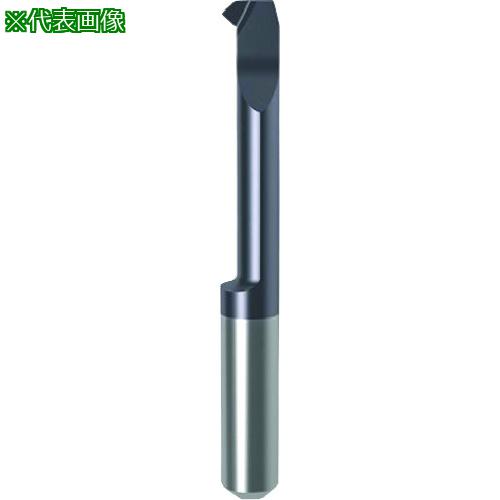 ■GUHRING 溝入れ工具 インサート 内径・面取り加工用 nanoAコート GT106.4557.020.42.60.R〔品番:257426.034〕【18...