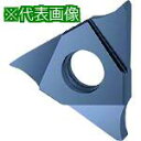 ■GUHRING 溝入れ工具 インサート 内外径溝入れ加工用 FIREコート GE305.0150.020.BA.04.N《2本入》〔品番:2560512.00...