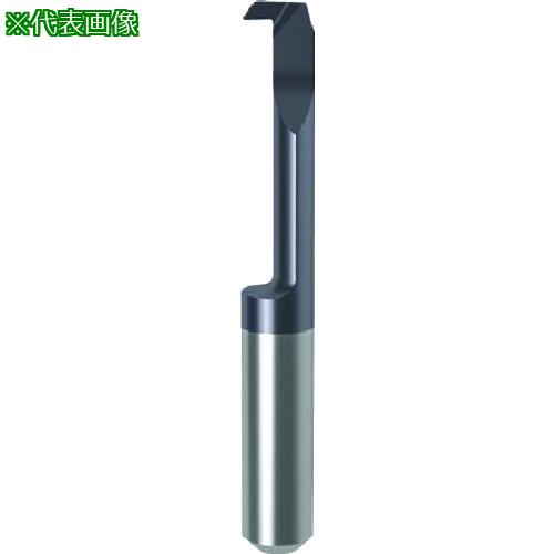 ■GUHRING 溝入れ工具 インサート 内径加工用 nanoAコート GT106.3257.020.12.60.L〔品番:257356.013〕【180798...