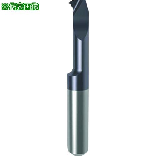 ■GUHRING 溝入れ工具 インサート 内径ねじ切り さらい刃付き メートル並目ねじ用 nanoAコート GG104.VM03.050.04.24.R〔品番:...