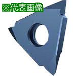 ■GUHRING 溝入れ工具 インサート 外径ねじ切り さらい刃なし メートルねじ用 FIREコート GG305.TM00.600.AA.06.L《2本入》〔品...