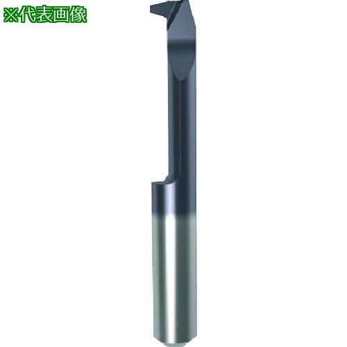 ■GUHRING 溝入れ工具 インサート 内径ねじ切り さらい刃なし - 台形ねじ nanoAコート GG106.TT10.200.22.80.L〔品番:258...