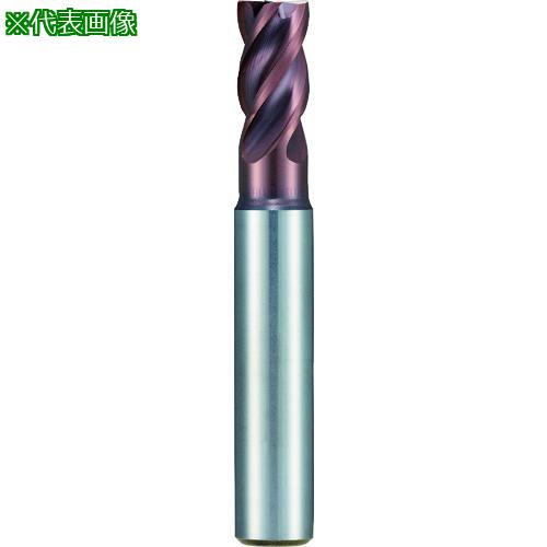 GUHRING 4Diverɥߥ 硼Signum 3mm:68033.000͡1821939:0[ӸѤ][ǳ]...