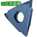 ■GUHRING 溝入れ工具 インサート 外径ねじ切り さらい刃なし メートルねじ用 TiCNコート GG305.TM00.200.AA.04.L《2本入》〔品...