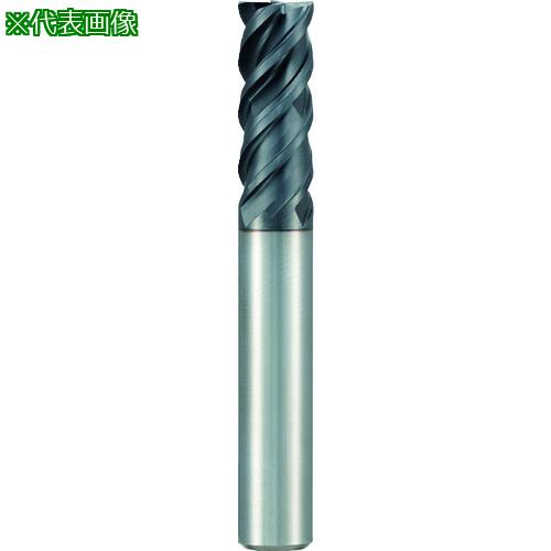 GUHRING 4Speedɥߥ 쥮SuperA 4mm:67654.000͡1825079:0[ӸѤ][ǳ]...