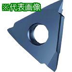 ■GUHRING 溝入れ工具 インサート 外径ねじ切り さらい刃付き メートルねじ用 FIREコート GG305.VM00.175.AA.04.L《2本入》〔品...