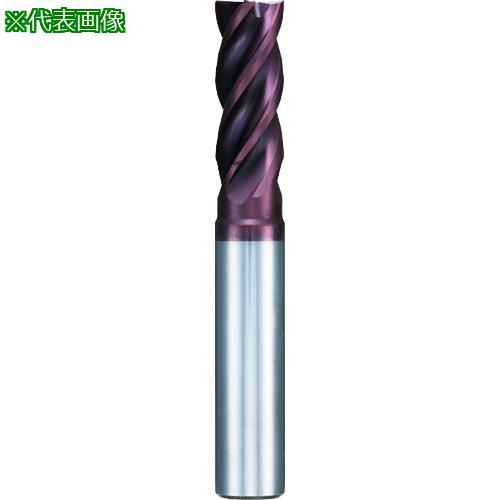 GUHRING 4Diverɥߥ 쥮Signum 9.7mm:67379.700͡1826691:0[ӸѤ][ǳ...