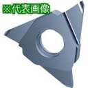 ■GUHRING 溝入れ工具 インサート 内外径フルR溝入れ加工用 TiCNコート GE305.0160.080.AA.04.N《2本入》〔品番:2561412...