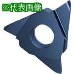 ■GUHRING 溝入れ工具 インサート 内外径フルR溝入れ加工用 FIREコート GE305.0220.110.AA.04.N《2本入》〔品番:2561312...