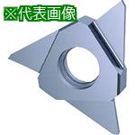 ■GUHRING 溝入れ工具 インサート 突切り加工 TiCNコート GZ305.0150.080.AA.04.L《2本入》〔品番:2564912.002〕【1...