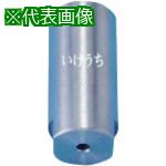 ■いけうち 標準充円錐ノズル JJXPシリーズ ステンレス鋼316製 2メス〔品番:2FJJXP300S316〕【1984796:0】[送料別途見積り][法人・事業所限定][外直送][店頭受取不可]