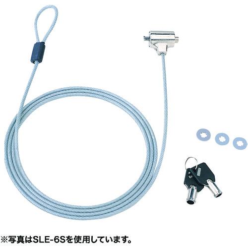 ■SANWA eセキュリティ〔品番:SLE9S〕【2031161:0】[法人・事業所限定][外直送元][店頭受取不可]