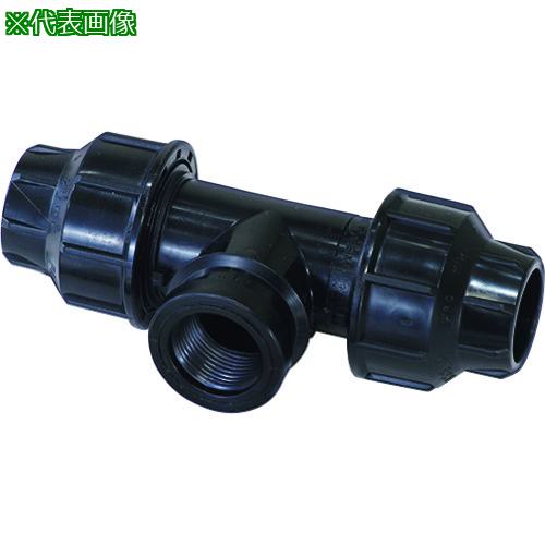 SANEI :EC66120X25A͡2041644:0[ӸѤ][ǳ][ŹƬԲ]