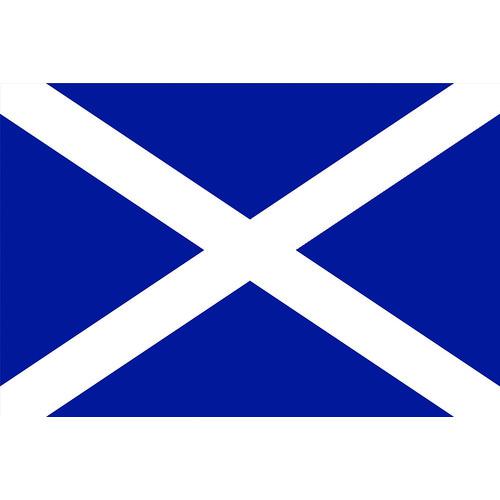 ■東京製旗 卓上旗(16×24cm)スコットランド〔品番:406351〕【2073696:0】[店頭受取不可]