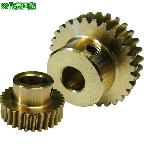 ■KHK ウォームホイールAG2.5-60R1J28〔品番:AG2.560R1J28〕【2105821:0】[送料別途見積り][掲外取寄][..