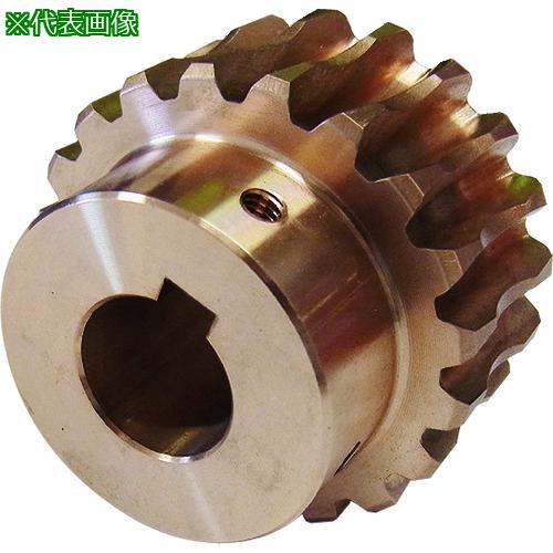 ■KHK ウォームホイールBG3-20R2J22〔品番:BG320R2J22〕【2107360:0】[送料別途見積り][掲外取寄][店頭..