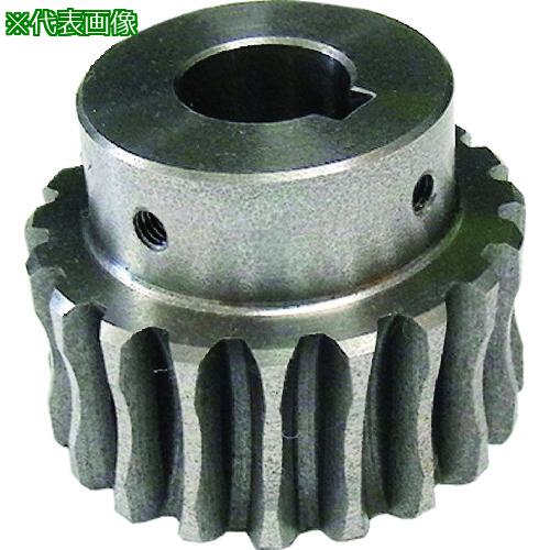 ■KHK ウォームホイールCG2-50R2J22〔品番:CG250R2J22〕【2107399:0】[送料別途見積り][掲外取寄][店頭受取不可](4)