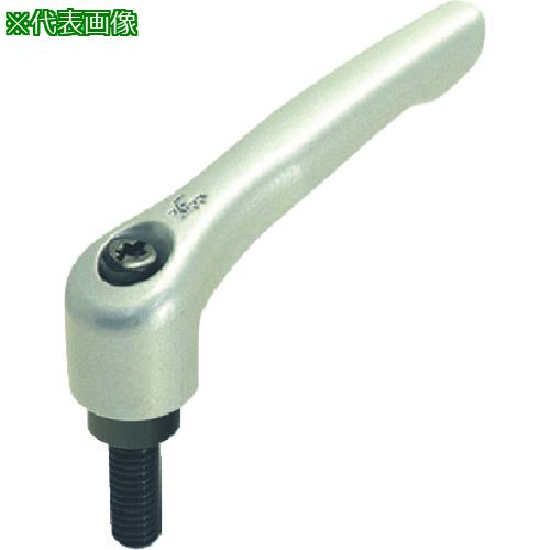 ■kipp クランプ レバー〔品番:FKR12X30RE〕【2140974:0】[送料別途見積り][掲外取寄][店頭受取不可]