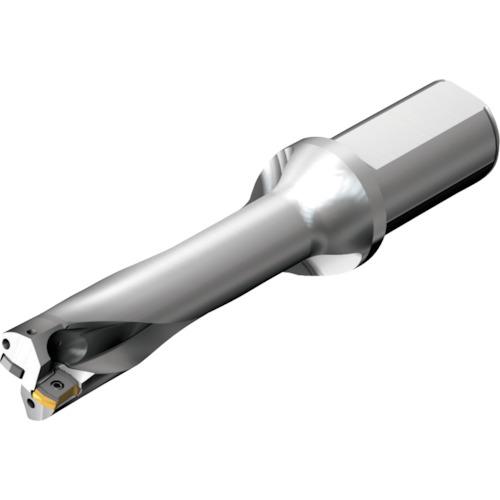 SANDVIK ɥDS20򴹼ɥ(465):DS20D3100L4004͡2161010:0[ŹƬԲ]