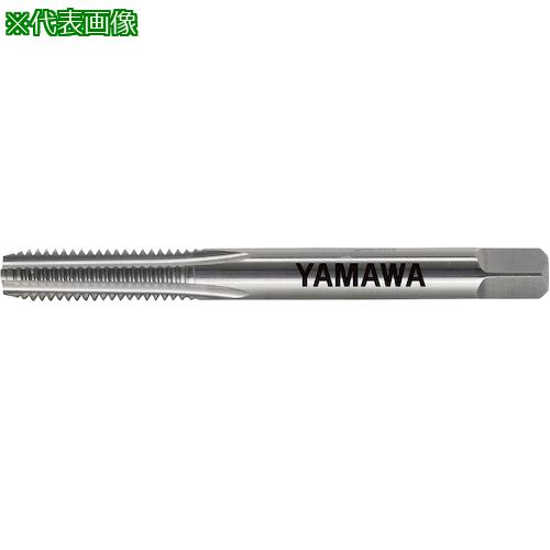 ޥ ŴĶťϥɥå N-CT FC P3 M16X1.5 3P:NCTFCP3M16X1.53P͡2164700:0[ŹƬԲ]