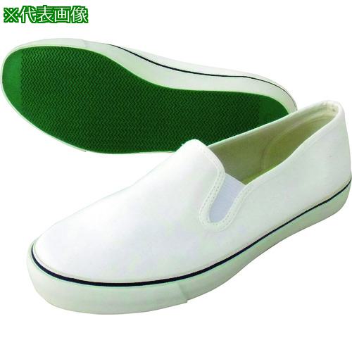 ¿ ǥå塼 DK200 ۥ磻 24.5:DK200WH24.5͡2174366:0[ӸѤ][ǳ][ŹƬԲ]