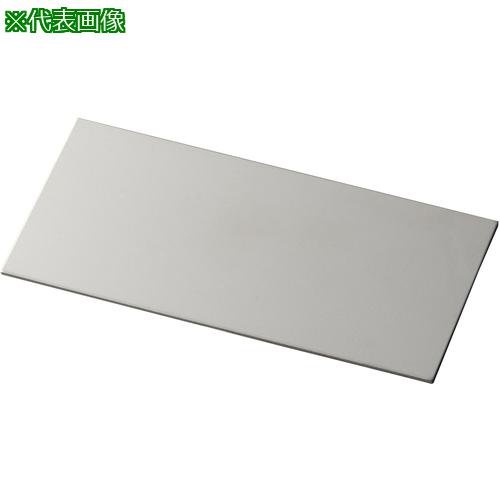 ■IWATA シムプレートSUS〔品番:TS100-300-03〕【2207976:0】[送料別途見積り][掲外取寄][店頭受取不可]