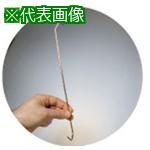 ■IWATA スタンダードフック 鉄(角曲げ)(100本入)〔品番:400X2.090DVX2-P〕【2208769:0】[送料別途見積り][掲外取寄][店頭受取不可]