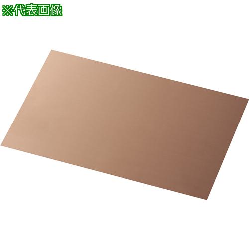 ■IWATA シムプレートCU〔品番:TC250-250-10〕【2209702:0】[送料別途見積り][掲外取寄][店頭受取不可]