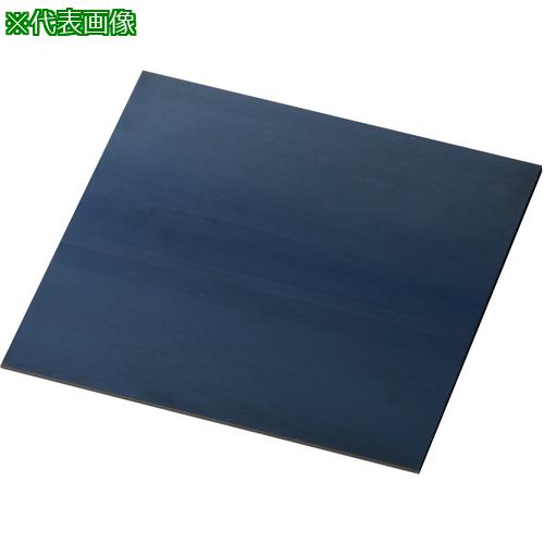 IWATA ץ졼SK:TY50-50-03͡2213336:0[ӸѤ][ǳ][ŹƬԲ]