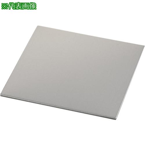 ■IWATA シムプレートFE〔品番:TF50-250-015〕【2230120:0】[送料別途見積り][掲外取寄][店頭受取不可]