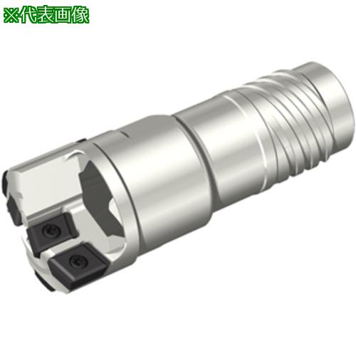 󥬥 FINE-BEAM åɥɥإå STS-EX:FNBM05S33.00͡2238327:0[ӸѤ...