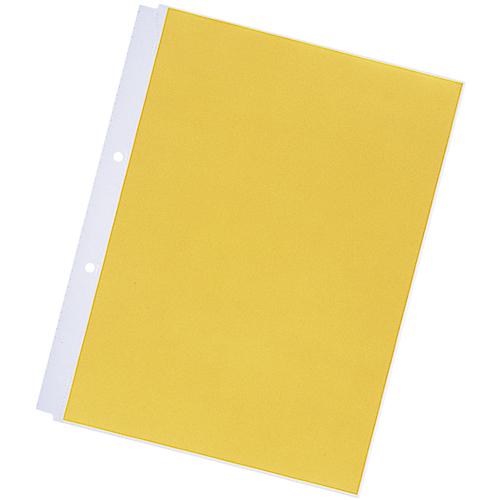 ■LIHIT クリヤーポケット＜超厚口＞ (10枚入り) A4-2穴〔品番:N2101〕【2266492:0】[送料別途見積り][掲外取寄][店頭受取不可]